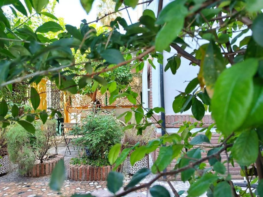 Villa Casa Limonero Con Parking Gratis Junto A Centro Historico à Grenade Extérieur photo