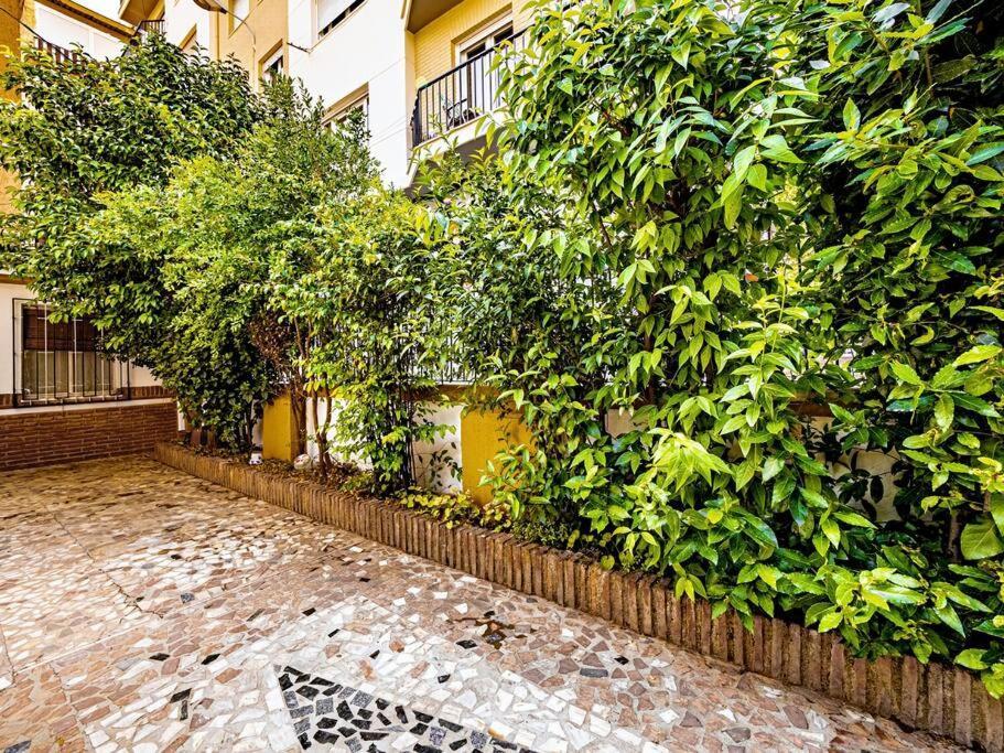 Villa Casa Limonero Con Parking Gratis Junto A Centro Historico à Grenade Extérieur photo