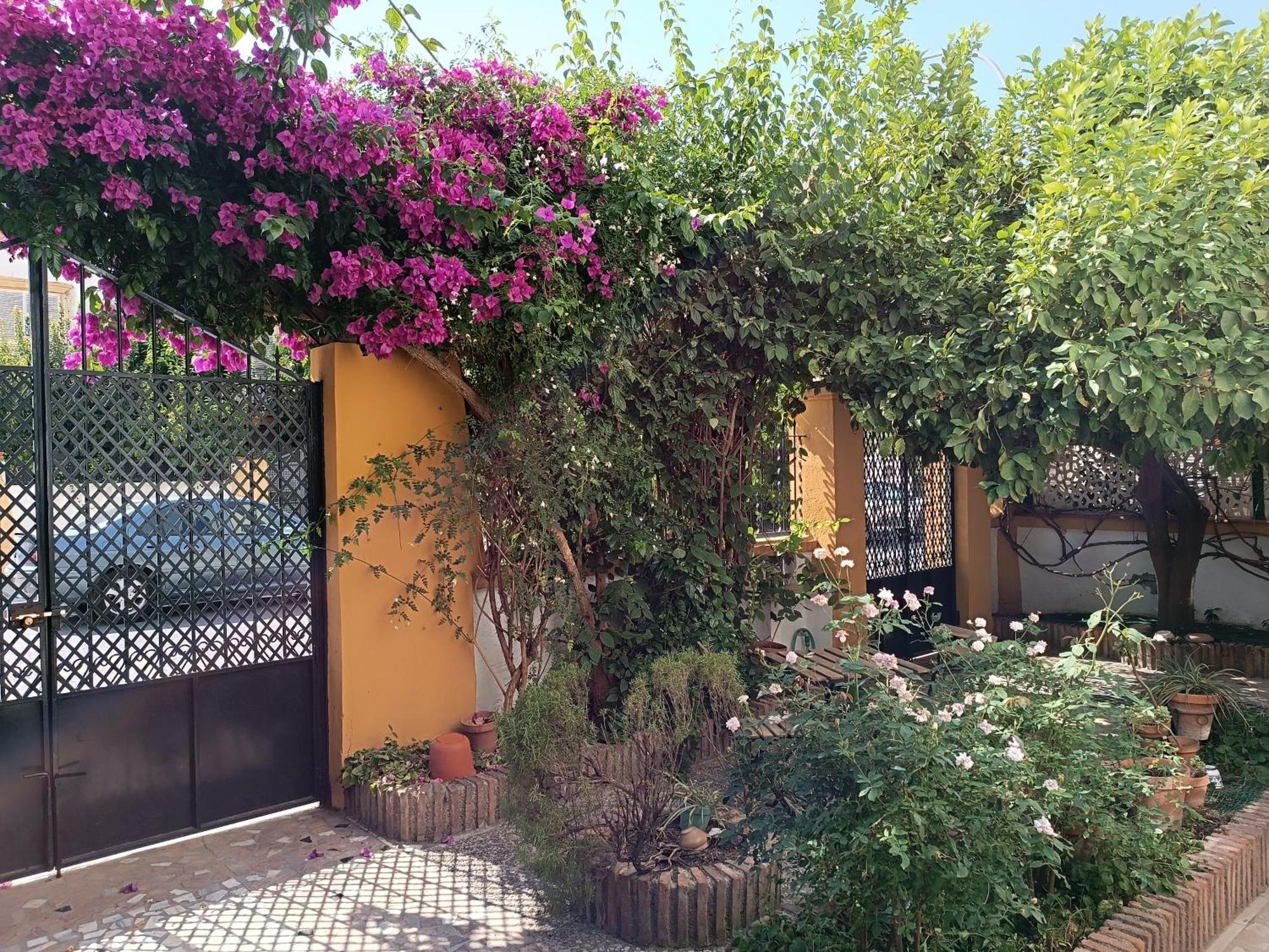 Villa Casa Limonero Con Parking Gratis Junto A Centro Historico à Grenade Extérieur photo